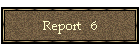 Report   6