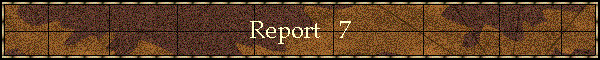 Report   7