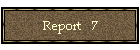 Report   7