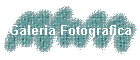 Galeria Fotografica