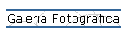 Galeria Fotografica