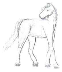 horse4.jpg