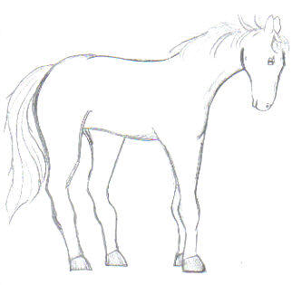 horse5.jpg