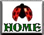 Ladybug home.jpg (4031 bytes)