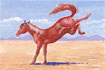 horse.gif (11141 bytes)