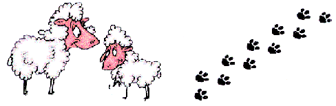sheep.gif (13645 bytes)