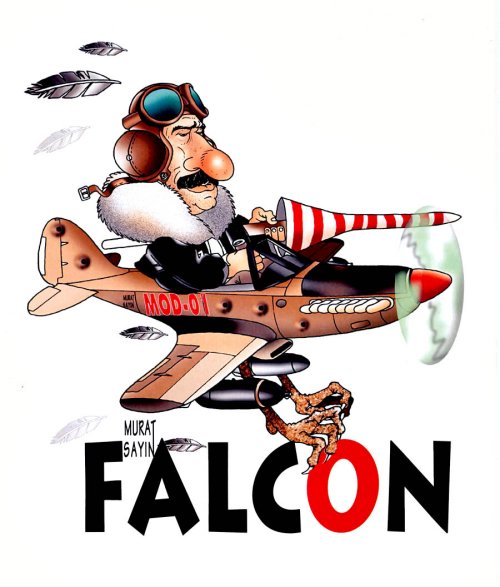 Falcon.jpg (48819 bytes)