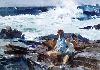 Click to see details about 'Pemaquid'