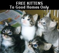Free Pets To Good Homes
