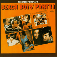 Beach Boys Party!