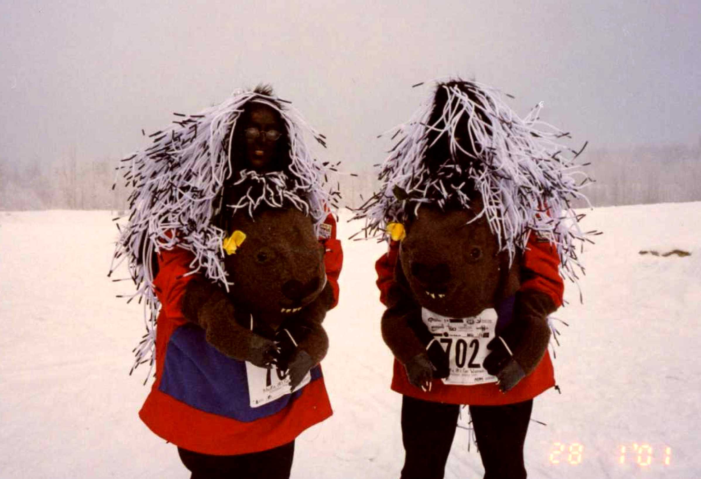 Porcupines anticipating a fun ski.