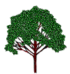 tree_10.gif (18200 bytes)