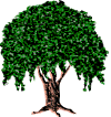 tree_19.gif (15200 bytes)