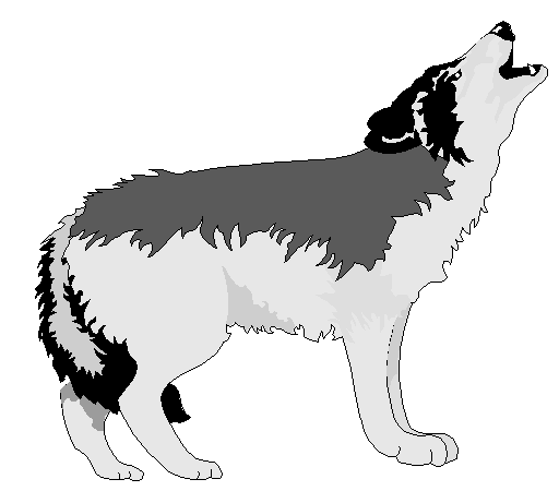 graywolf-howling-clipart3.gif