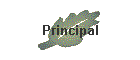 Principal