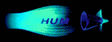 HUM star logo animation