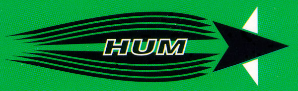 HUM flying star logo art