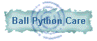 Ball Python Care