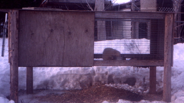 Outside ferret cage