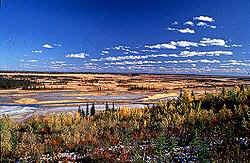 Salt Plains of Wood Buffao National Park