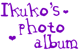 ikuko's photo album