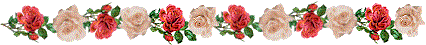 Bar-red-wht-rose.gif (9248 bytes)