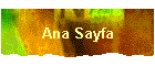 Ana Sayfa