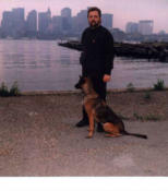 Bomb dog Taz with Joe Driscoll