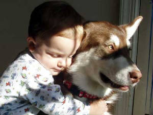 Hudson's Malamutes - leia-2005.jpg