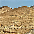 Wadi Kelt, 1920x1191, 2.26Mb