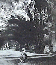 Photo of Bernadette at Lourdes Grotto