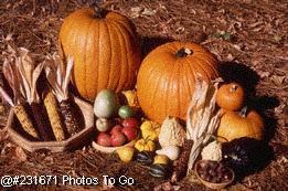 Fall harvest