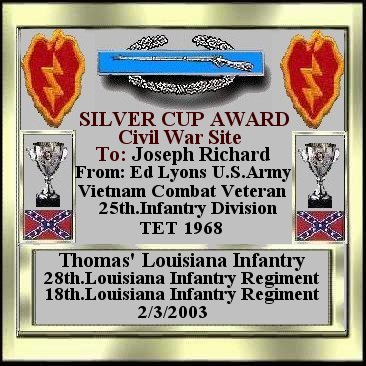 image of silver cup award