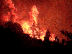 fire.gif (46108 bytes)