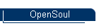OpenSoul