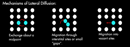 Types of Lateral Diffusion