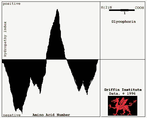 Hydropathy Plot