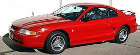 Picture of mustang