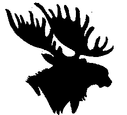 Die Moose!!!