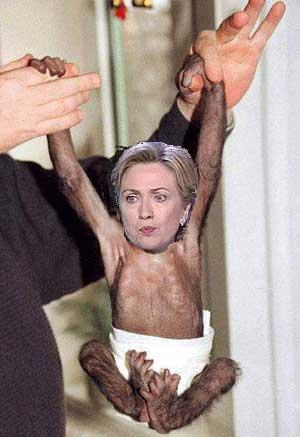 hillarymonkey.jpg