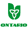 Ontario link