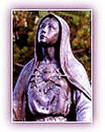 The Sacred Heart of Mary