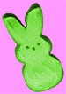 green bunny