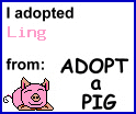 Adopt a pig!!!!!!