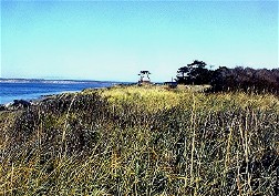 Descending to the beach we look behind us north toward Whidby Island.