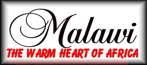 Warm Heart Logo