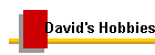 David's Hobbies