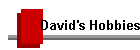 David's Hobbies