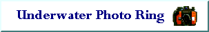 Click Image to Visit the Underwater 
Photo Ring Home Page