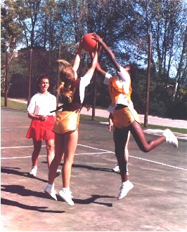 On the netball field